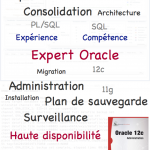 Flyer Expert Oracle